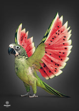 Fraiday Studio – Plakat – Melon Wings – Black Edition