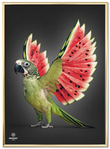 Fraiday Studio – Plakat – Melon Wings – Black Edition