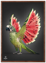 Fraiday Studio – Plakat – Melon Wings – Black Edition