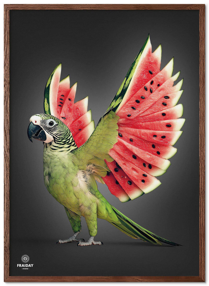 Fraiday Studio – Plakat – Melon Wings – Black Edition