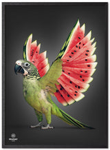 Fraiday Studio – Plakat – Melon Wings – Black Edition