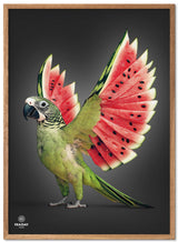 Fraiday Studio – Plakat – Melon Wings – Black Edition
